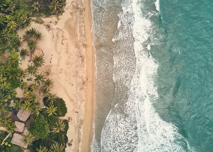 Playa Los Angeles